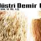 Endustri Demir Celik San. ve Tic. A.S