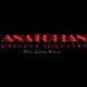Anatolian Defense San. Tic. Ltd. Sti. logo