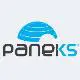 Paneksport Dis Tic. A. S. logo