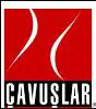 Cavuslar Derin Kuyu Su Pompalari A. S. logo