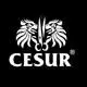 Cesur Tekstil San. ve Dis Tic. Ltd. Sti. logo