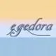 Egedora Elektrik ve Enerji Sistemleri logo