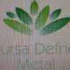 Bursa Defne Metal