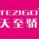 Tezigo Clothing Group Co. Ltd. logo
