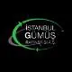 Istanbul Gumus Rafinerisi A.S. logo