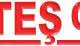 Ates Group Companies logo