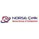 Norse Gemi Insa Ltd. Sti. logo