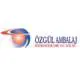 Ozgul Ambalaj Ltd. Sti. logo