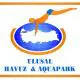 Ulusal Yuzme Havuzlari Ltd. Sti. logo