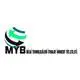 Myb Bilgi Teknolojileri Ltd. Sti. logo
