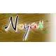 Noyan Askicilik San. Tic. Ltd. Sti. logo
