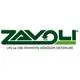 Zavoli Polaris Ltd. Sti. logo
