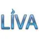 Livagaz Ltd. Sti. logo