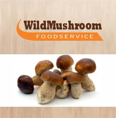 Wild Mushroom Ltd logo