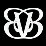 Bb Derma Kozmetik ve San. ve Tic. A.S logo