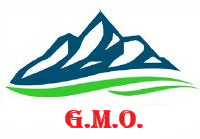 Gujarat Minerals Overseas