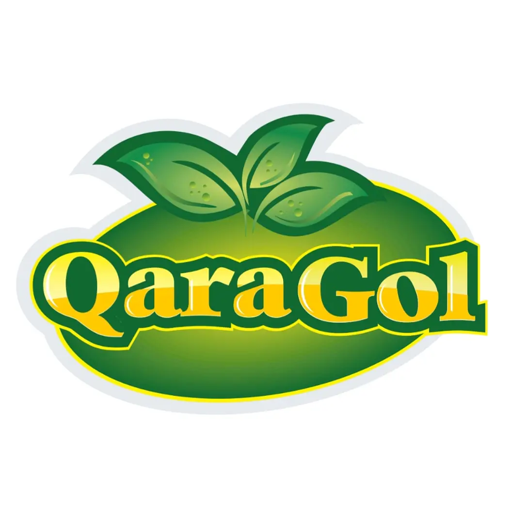 Hoshang Of The Qaragol Brothers logo
