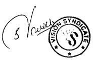 Vision Syndicate logo