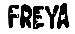 Sezai Okan logo
