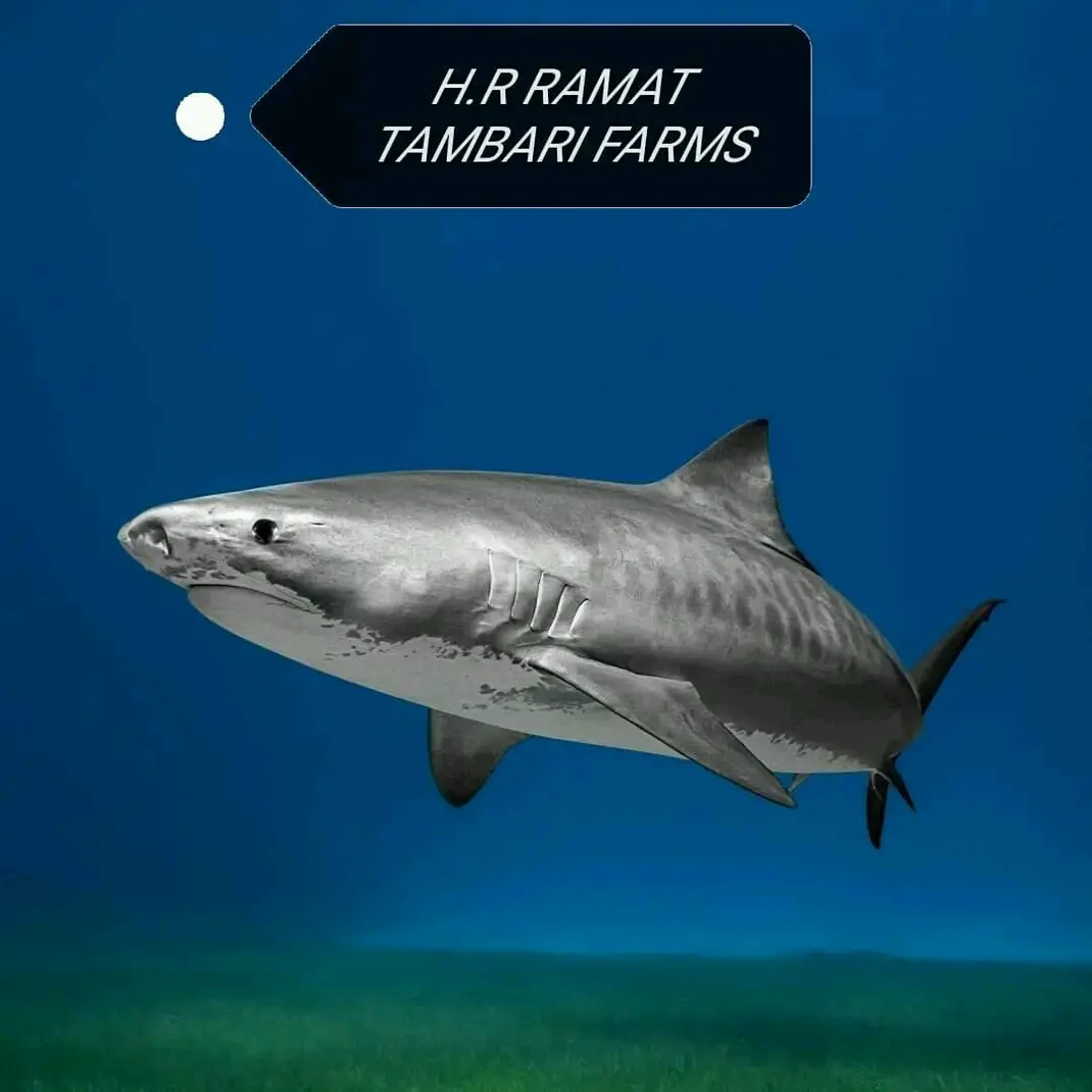 H.R Ramat Tambari Farms