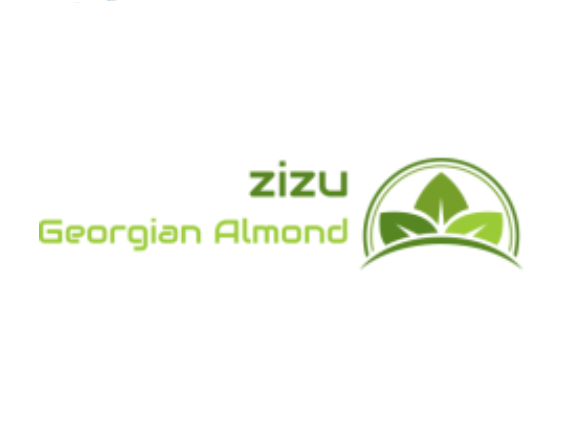 Zizu Ltd logo