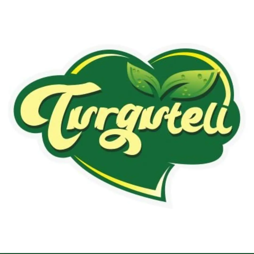 Turguteli Gida Bilisim Sanayi ve Ticaret Limited Sirketi