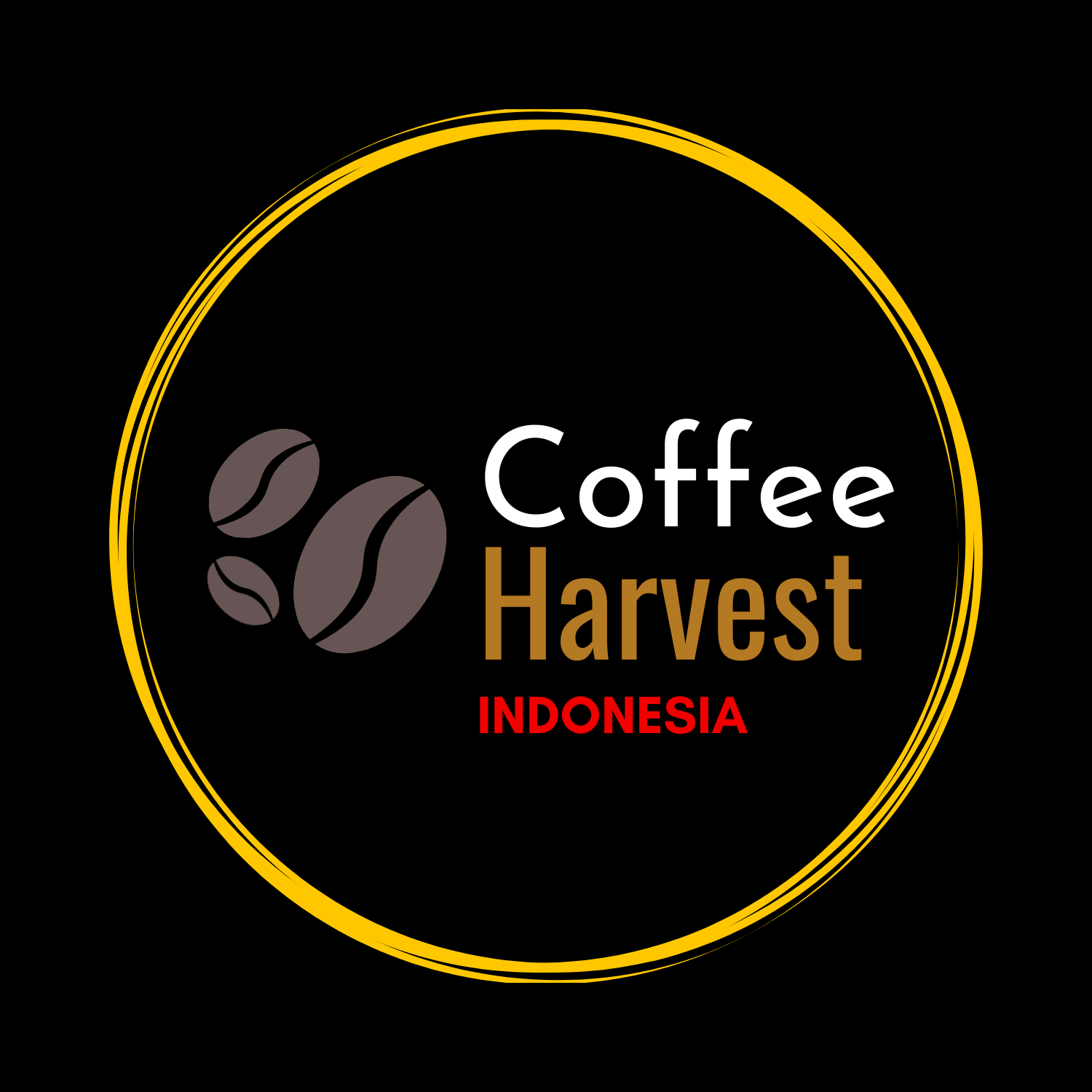 Coffee Harvest Indonesia