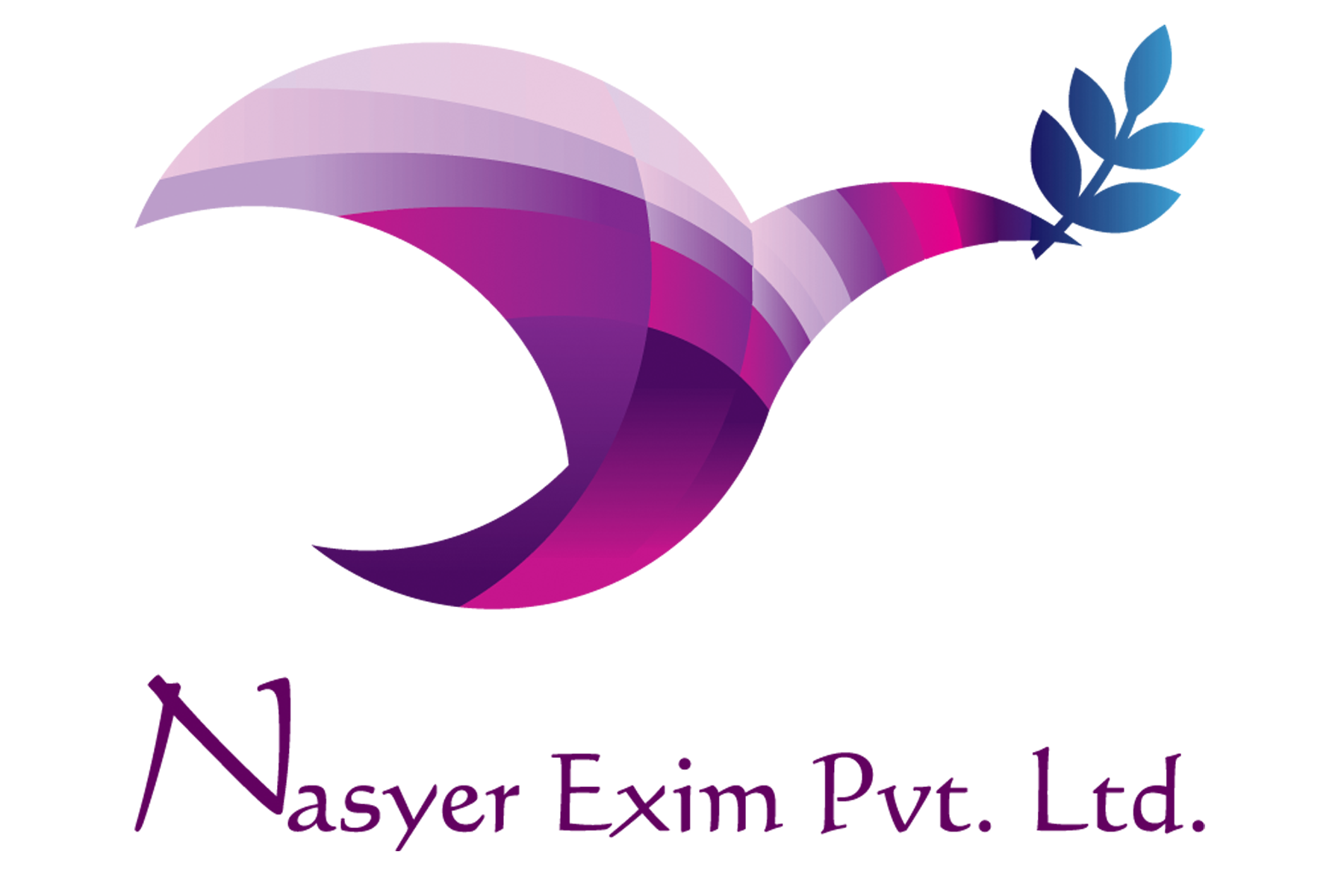 Nasyer Exim Private Limited logo