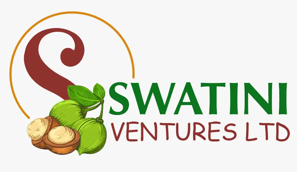 Swatini Ventures Limited logo