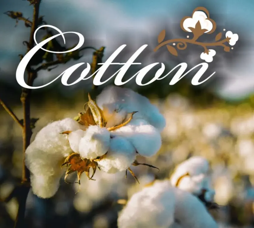Cotton Market Tekstil Ithalat Ihracat Ltd. Sti. logo