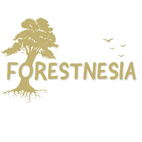 Pt. Forestnesia Bumi Indonesia logo