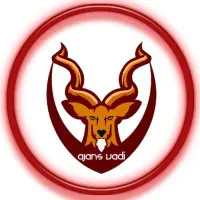 Santiyeciniz Elektronik Hizmetler Sanayi Ticaret Limited Sirketi logo