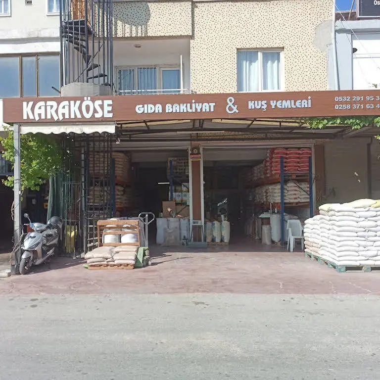 Karakose Gida logo