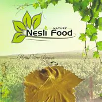 Nesli Gida logo