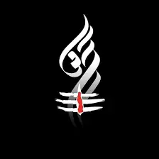 S S A Traders logo
