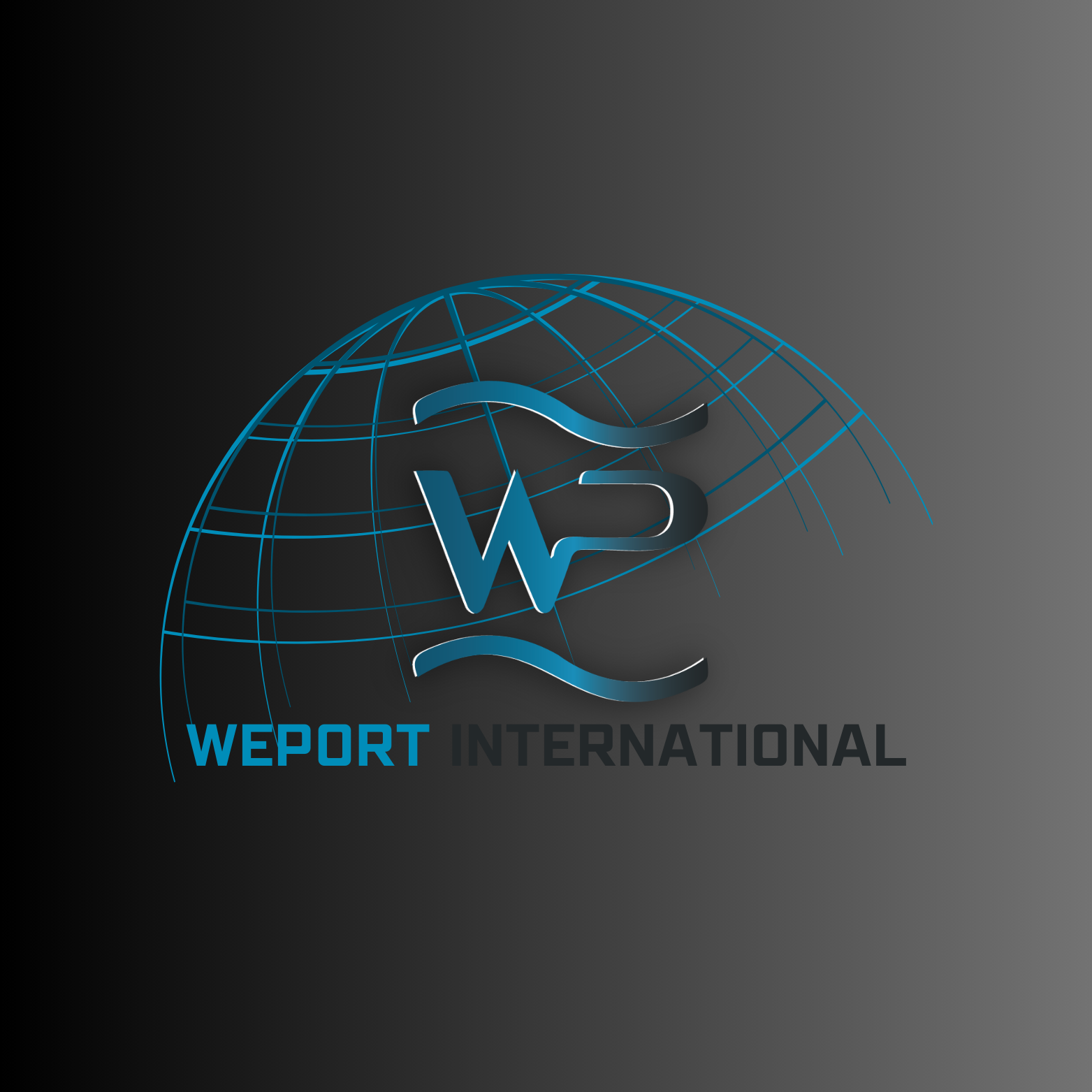 Weport Denizcilik Ltd. Sti. logo