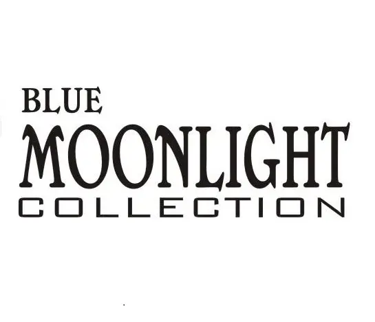 Blue Moonlight Tekstil Turizm Insaat Sanayi ve Ticaret Limited Sirketi