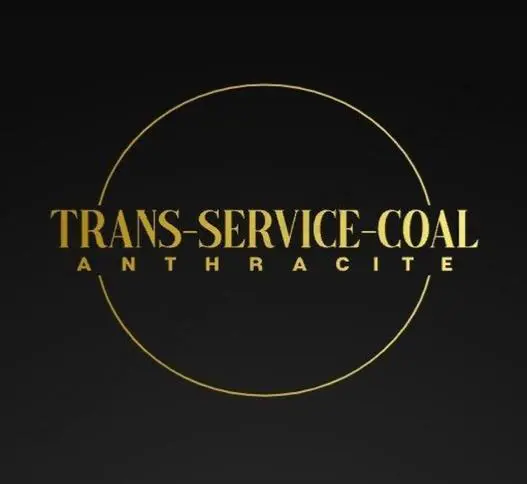 Trans-Service Llc logo
