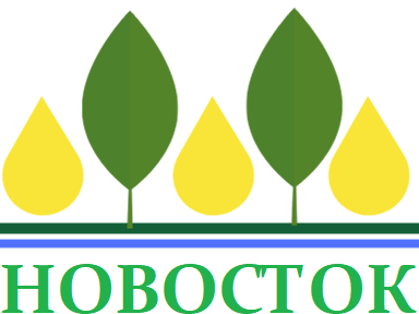 Novostok Llc logo