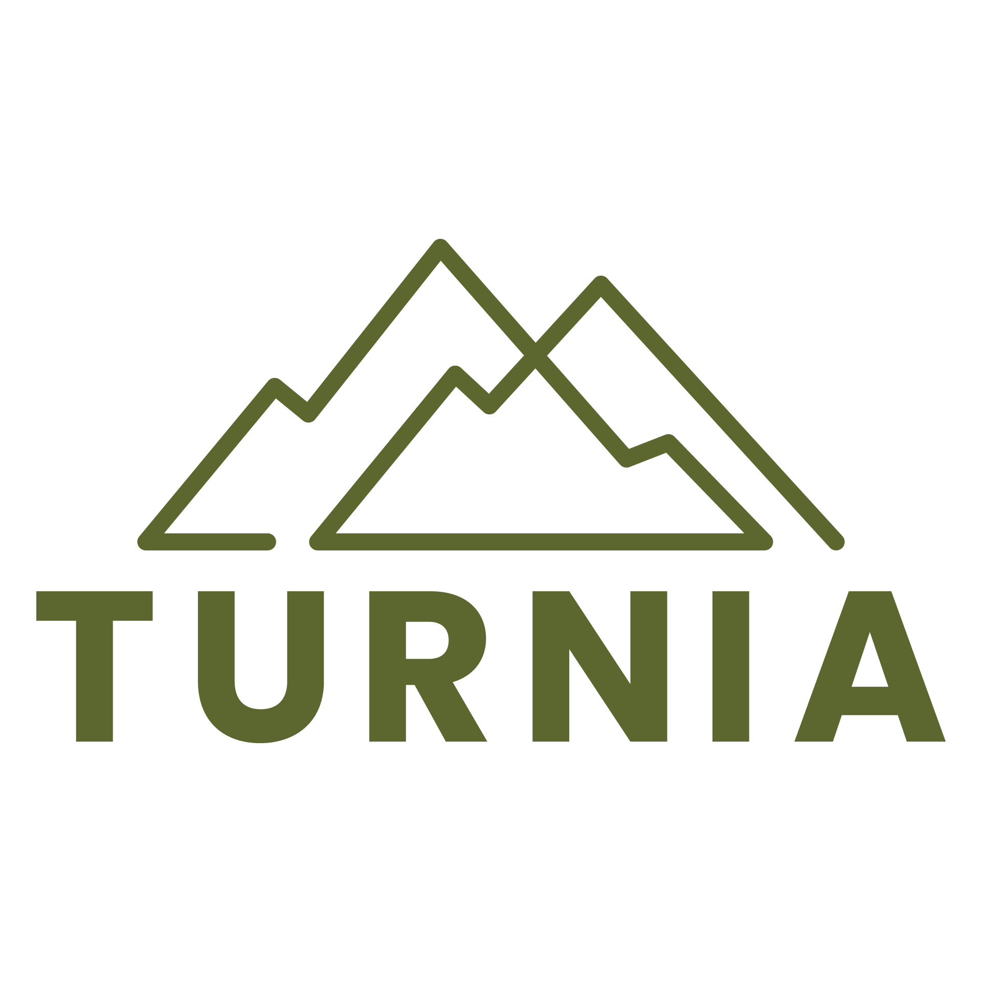 Turnia Bilisim Ltd. Sti.