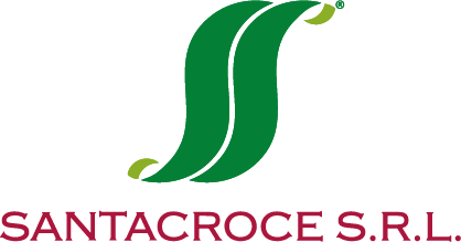 Santacroce Srl logo