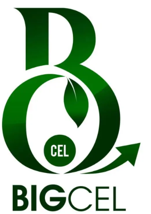 Bigcel Limited logo