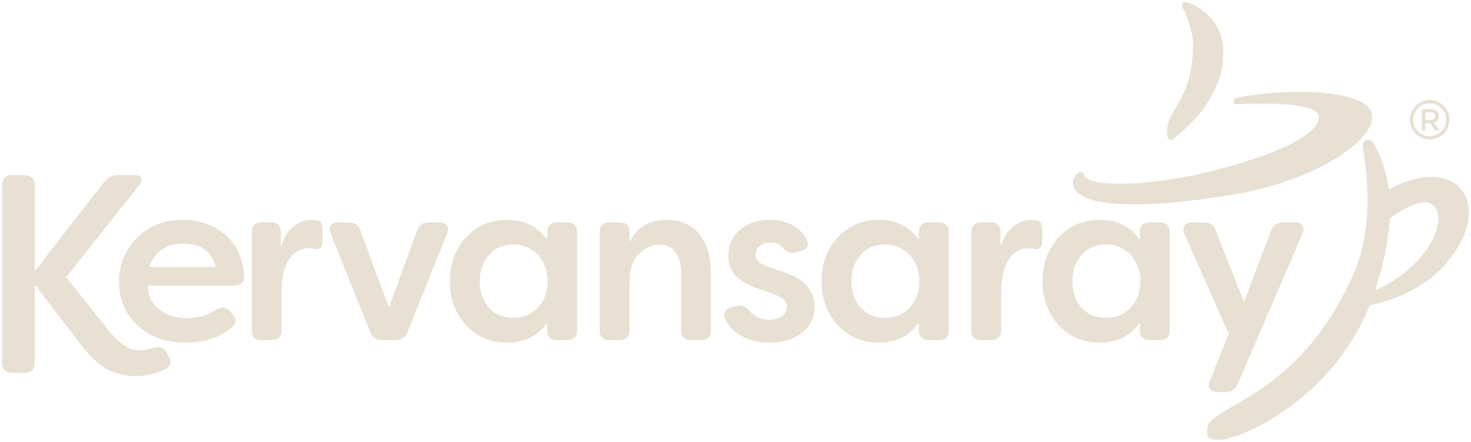 Kervansaraykahve Gida Ltd. Sti. logo