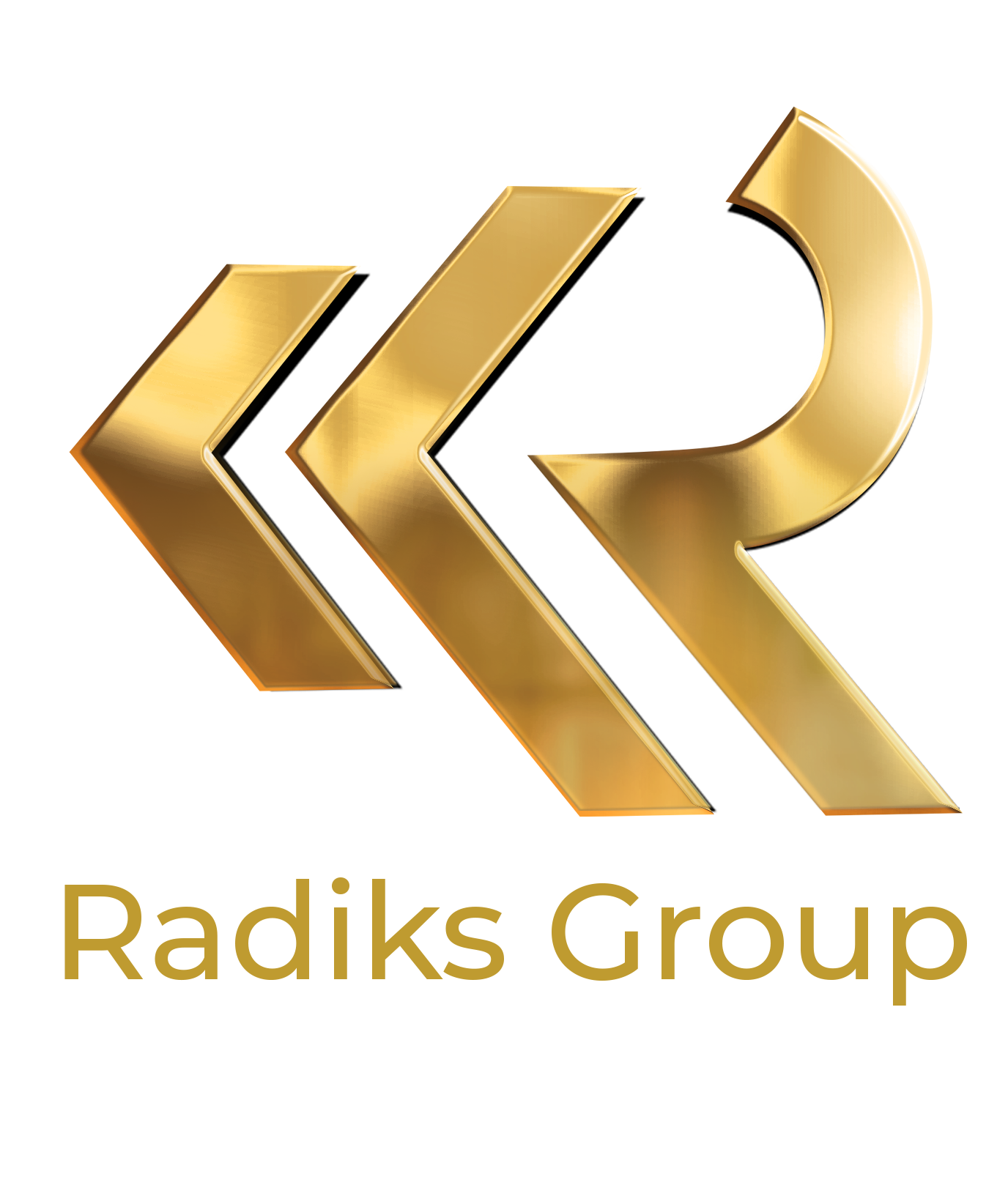 Radiks Group Dis Tic. A. S. logo