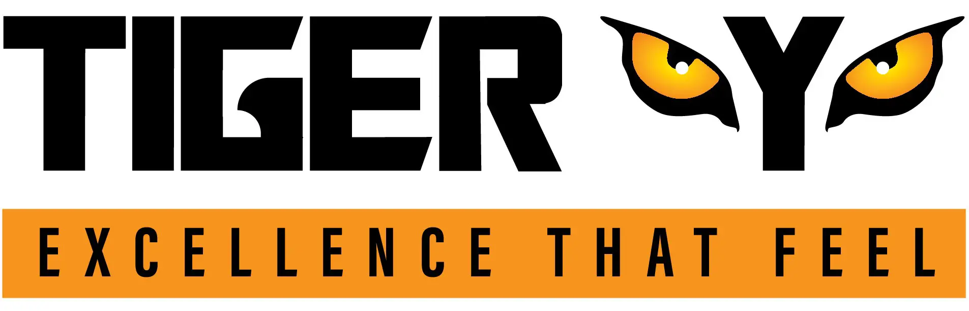 Tiger Eye Apparels Pvt Ltd. logo