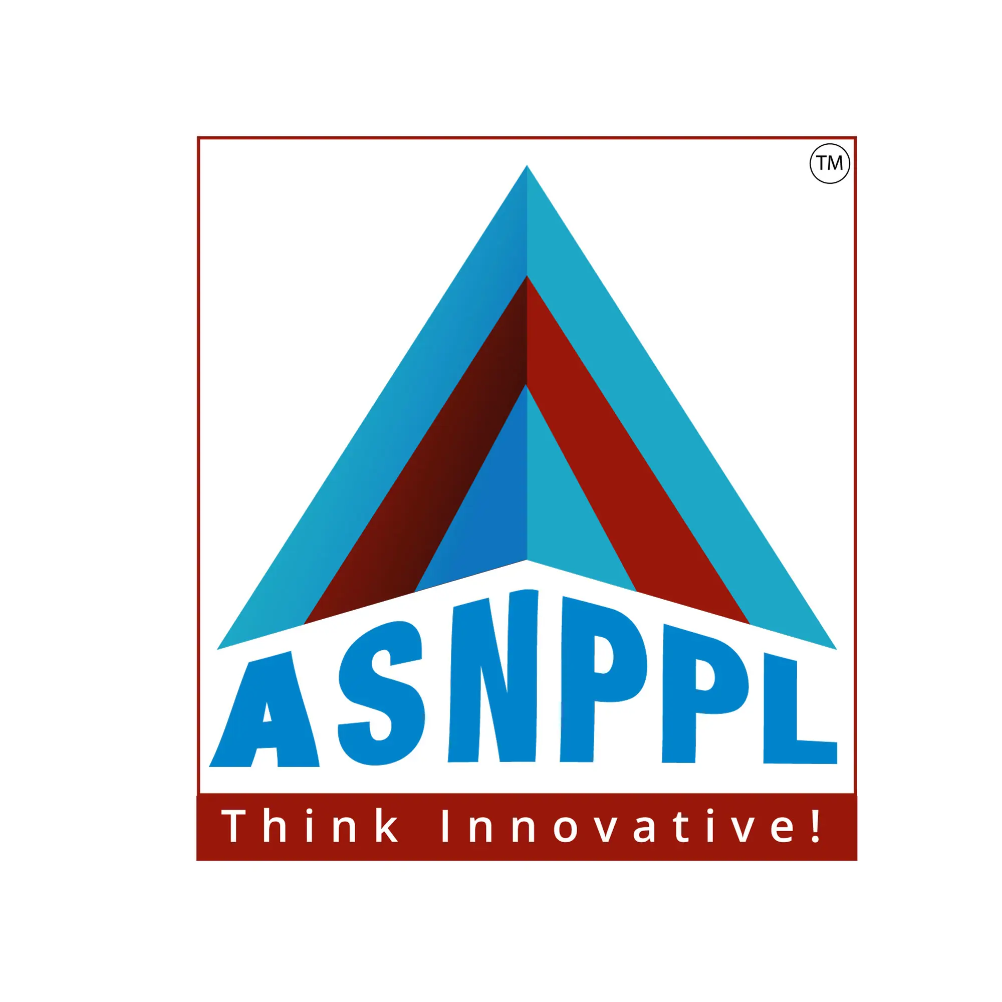 Asn Packaging Private Limited logo