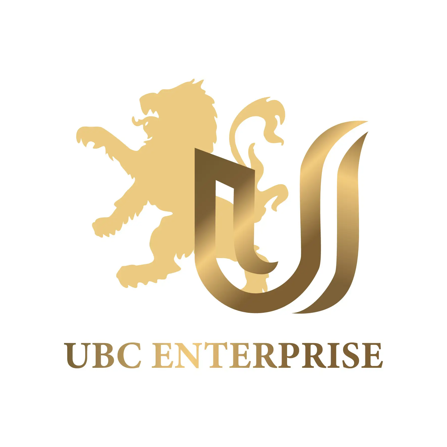 UBC ENTERPRISE INSAAT A. S.