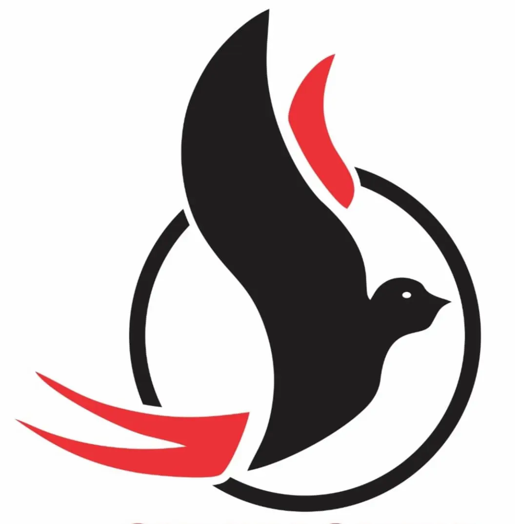Swallowed International logo