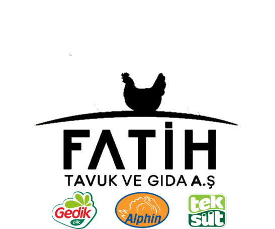 Fatih Tavuk A. S.