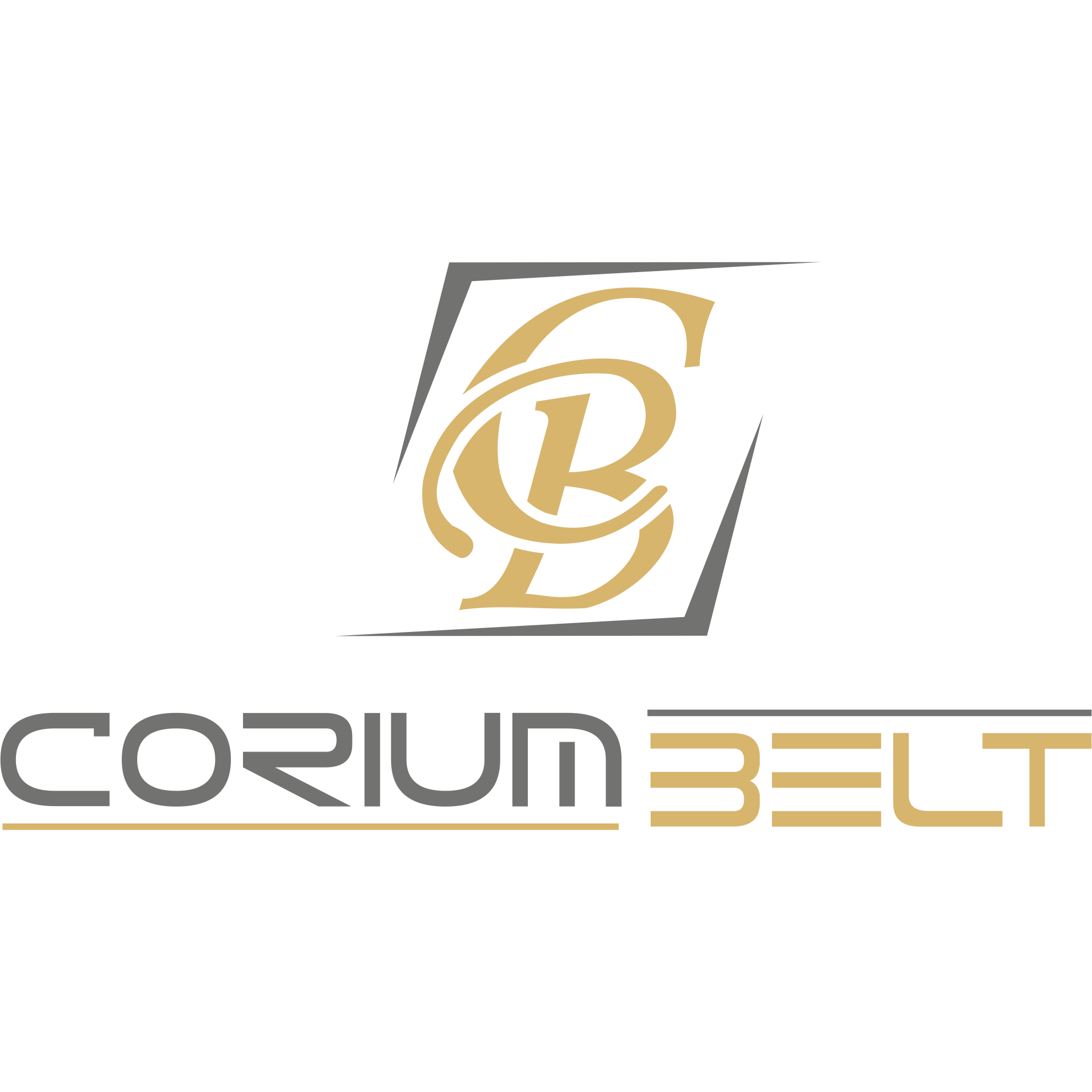 Corium Belt Deri Ltd. Sti. logo
